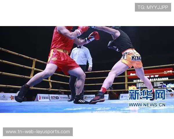 “拳王争霸：四川省体育馆拳击赛将诞生新的世界拳王”