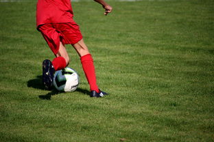 乐鱼体育官网网址-篮球运动员心理素质测评体系构建，篮球运动员心理素质的重要性