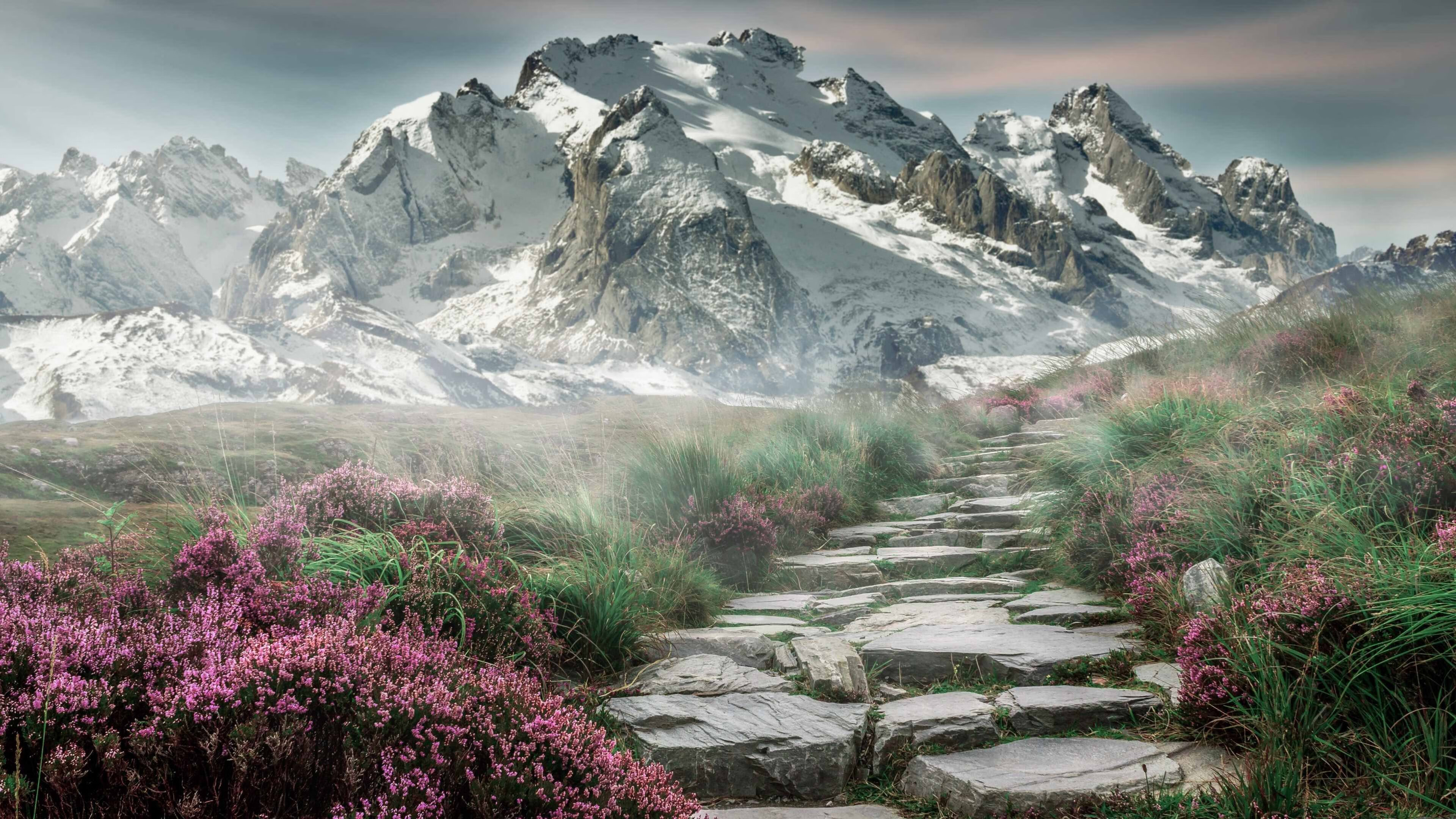 乐鱼体育app官方入口-运动员职业技能提升项目，运动员职业技能提升项目有哪些