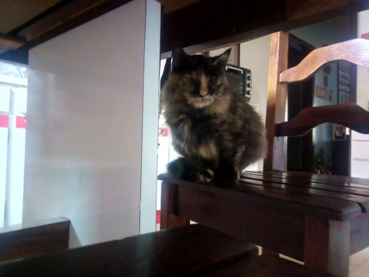 CBA多支球队加强青训投入 助力未来发展,cba青训都是在哪里选拔的