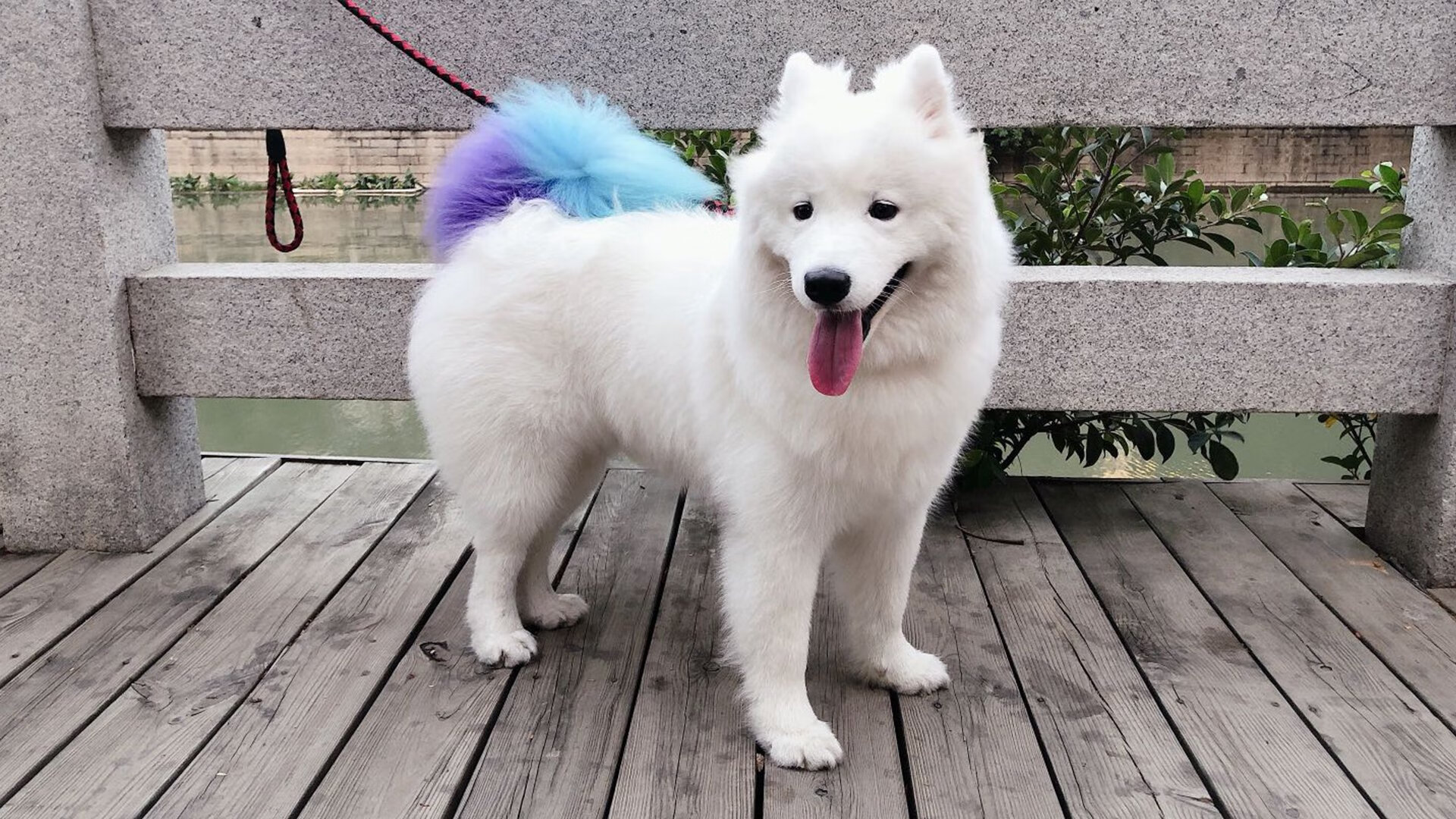 乐鱼体育官网优惠-PSG进攻线组合缺乏默契，终成败因