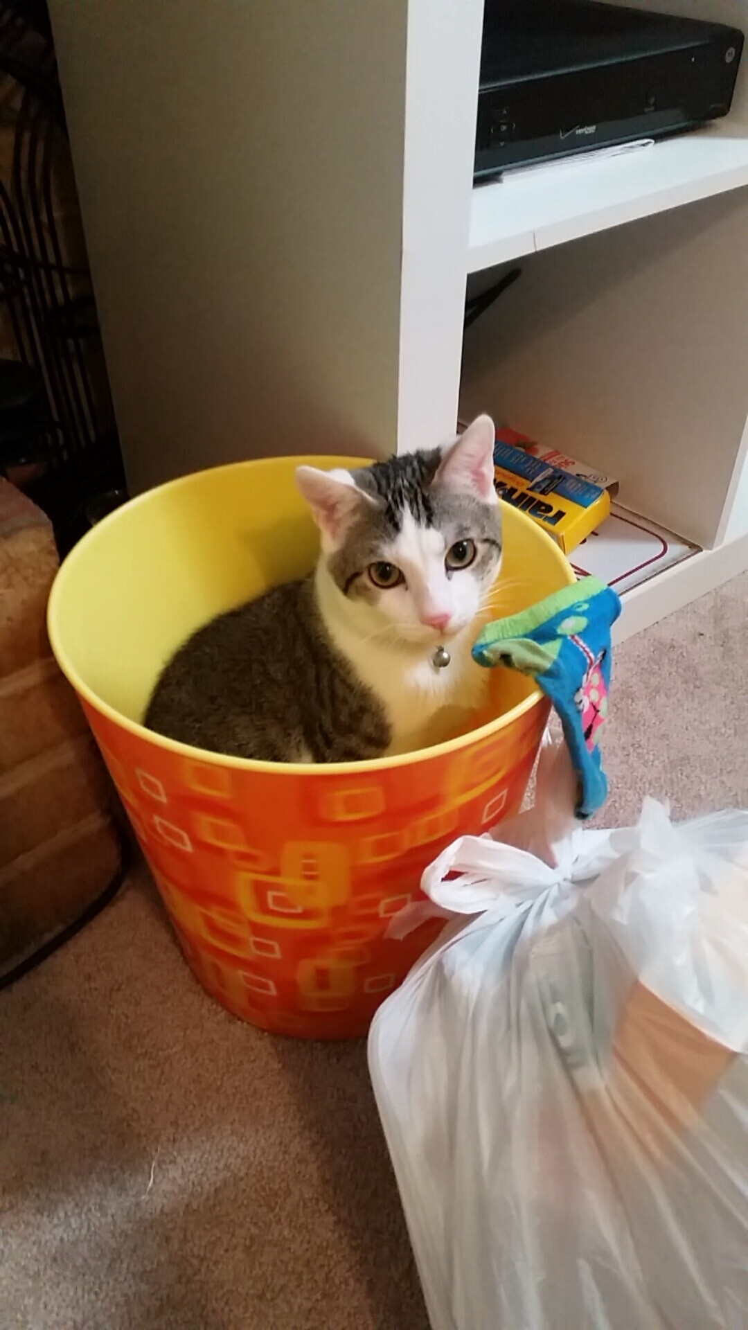 乐鱼app下载-乒乓战术讲解：Chinese Taipei如何压制对手反击，乒乓球中国式打法