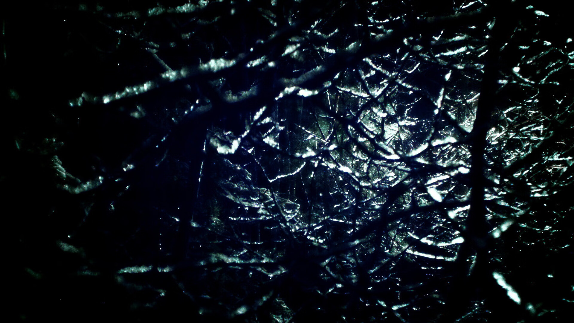 出发反应时间中立B选手位居组内前列