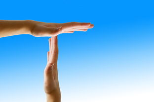 乐鱼体育 vip注册-外线压力下谁还能保持手感稳定