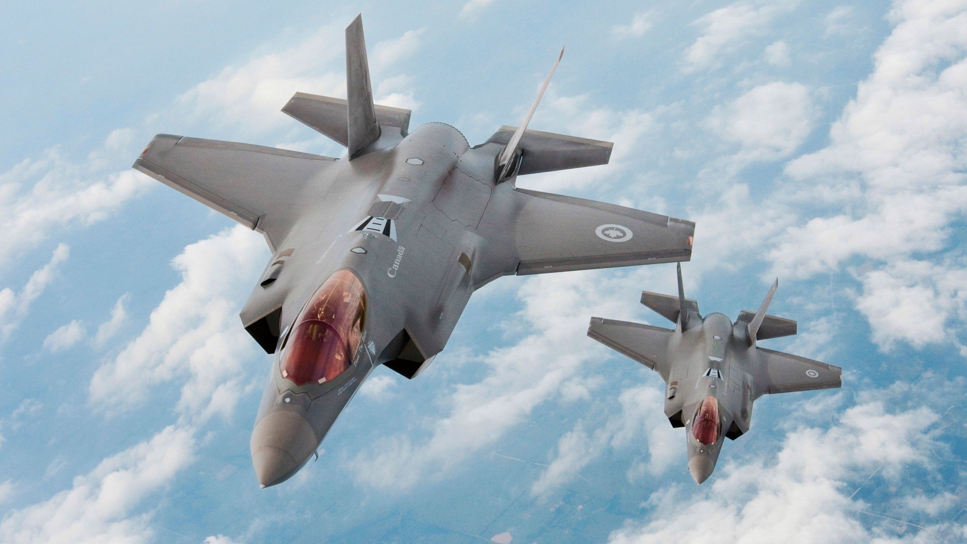 女子仰泳划频表现突出,女子仰泳100米