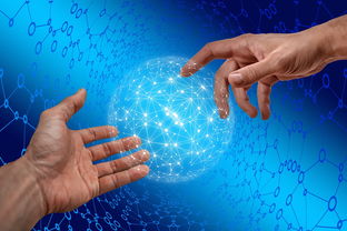 乐鱼体育官网网址-德国仰泳项目技术稳定提升，德国仰泳项目技术稳定提升方案