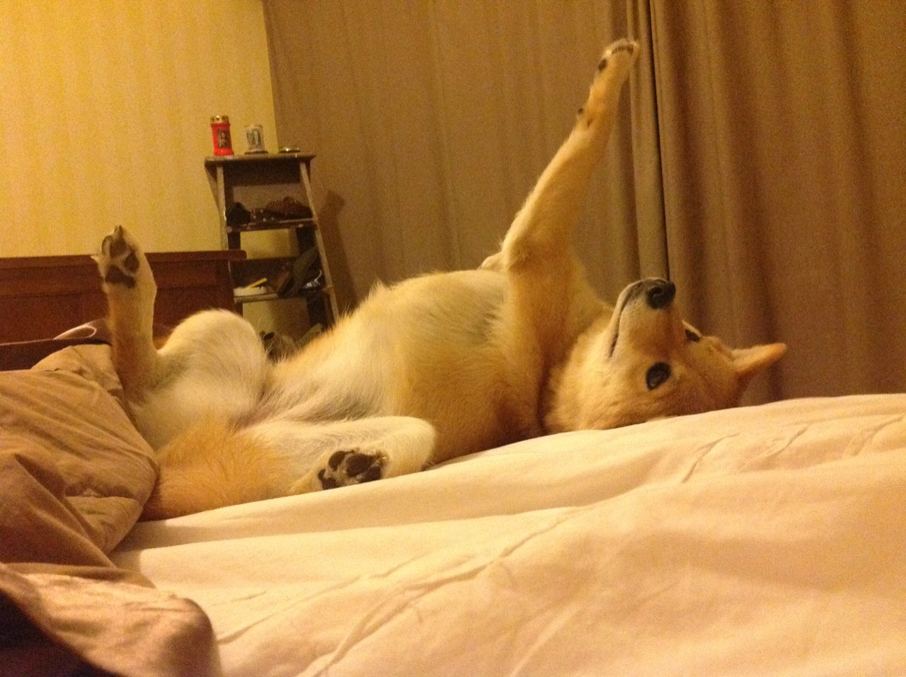 拜仁替补阵容发挥出色轮换无忧,拜仁队员2020