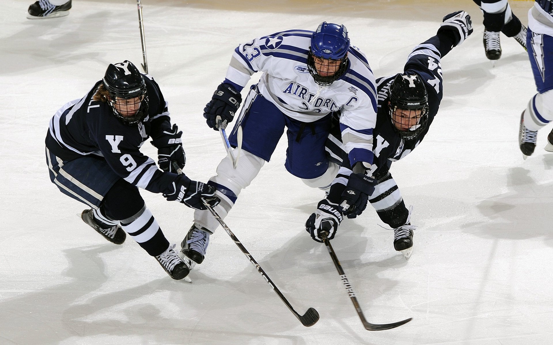 职业拳击挑战赛落幕 本土选手斩获胜利,职业拳击争霸赛