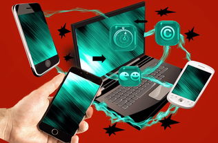 乐鱼体育平台登录-裁判团队数字考核系统试运行，裁判员管理平台