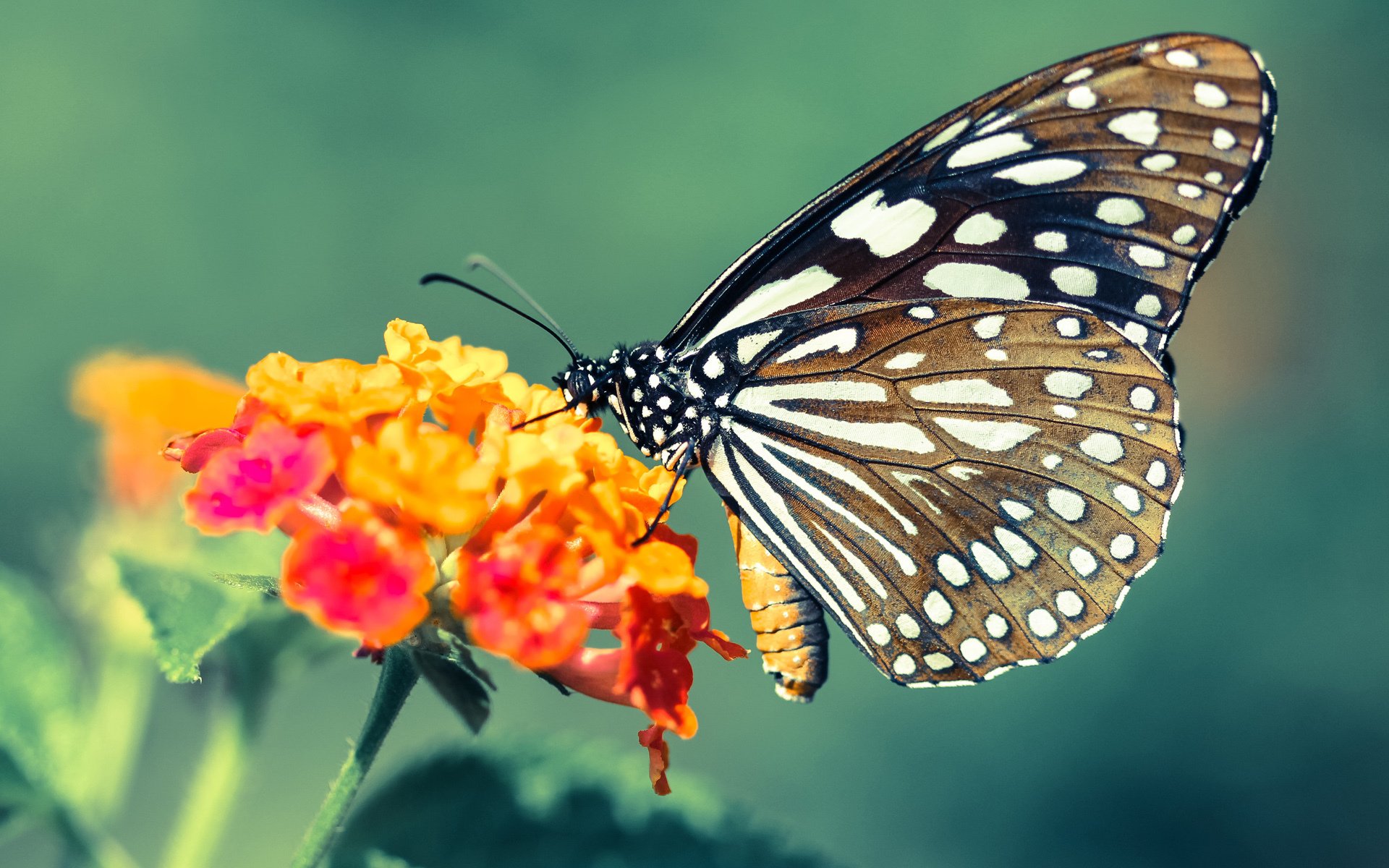 乐鱼体育下载入口-连胜终结后，球队表示将认真总结问题。，连胜结束