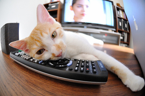 克洛普持续优化战术,带领利物浦追求更高荣誉