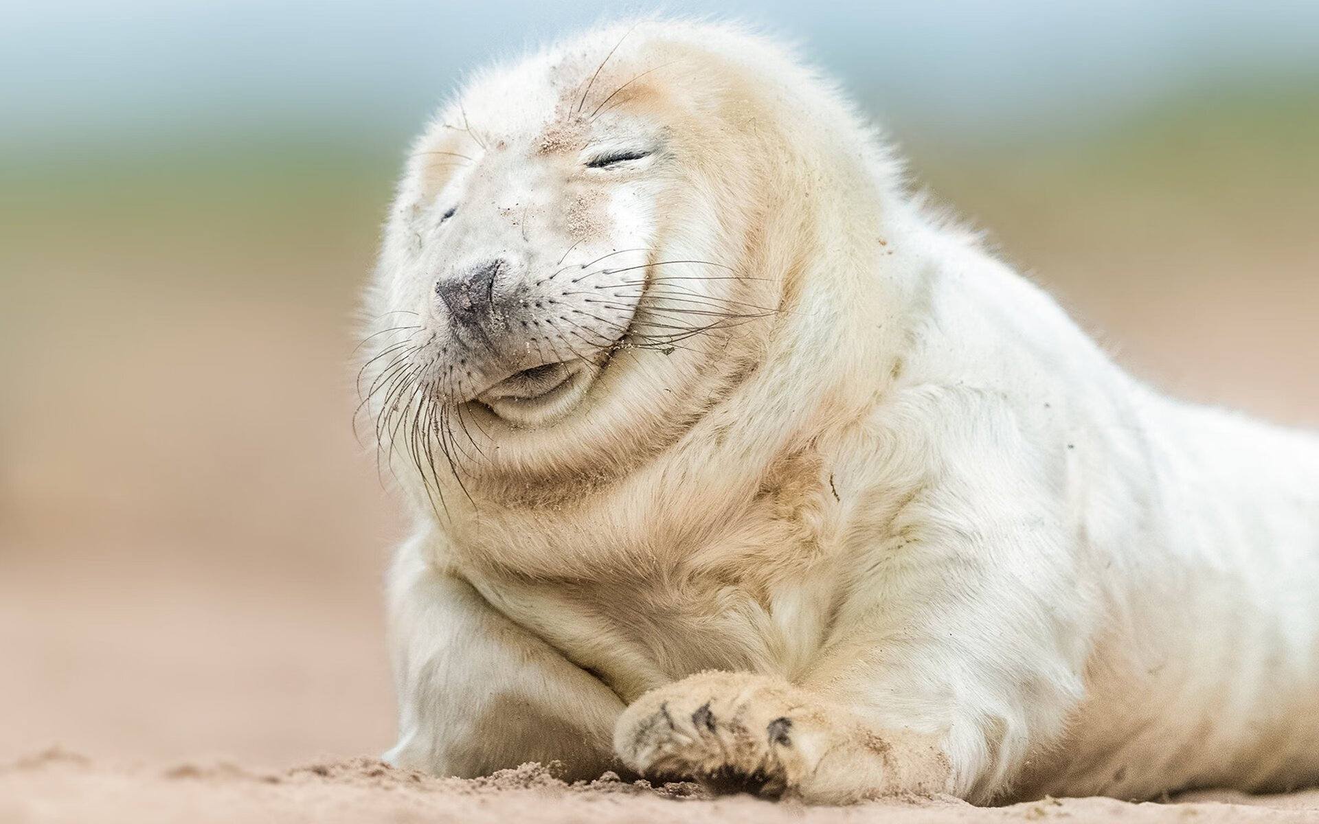 唐纳德·高尔快速突破,给袋鼠队带来致命进攻机会,唐纳德高德纳