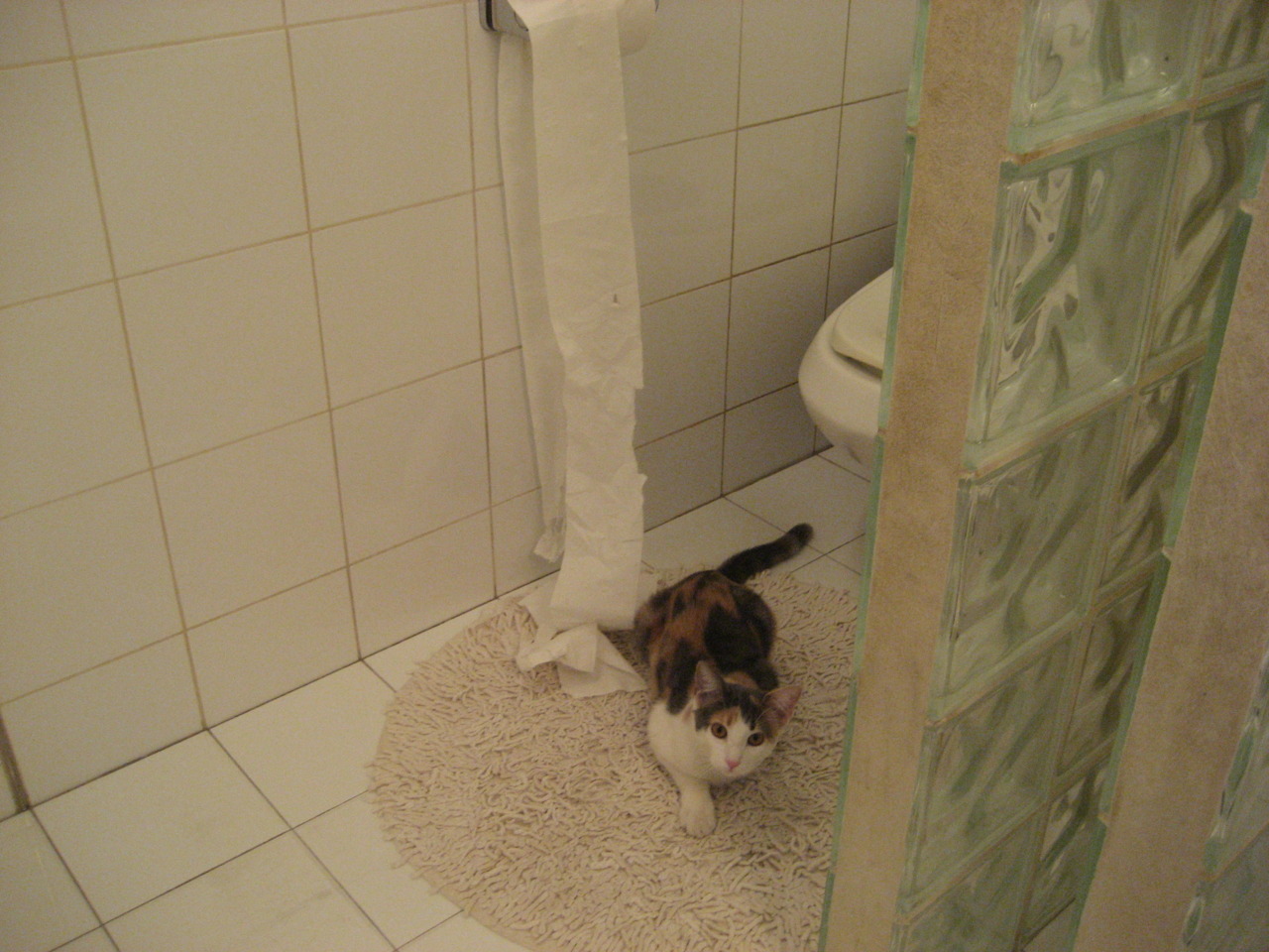 帕金斯短池训练成果显现,帕金斯体测